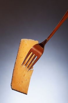 Piece of  hard cheese on fork against nice gray background