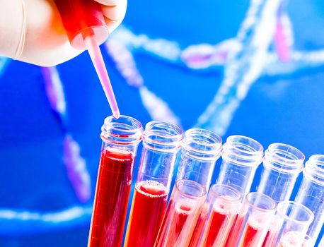 closeup of test tubes with pipette on red liquid on blue blur abstract dna sequence background