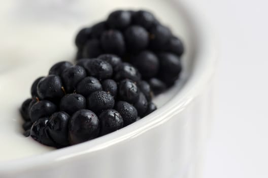 Delicious yogurt and fresh berries for breakfast