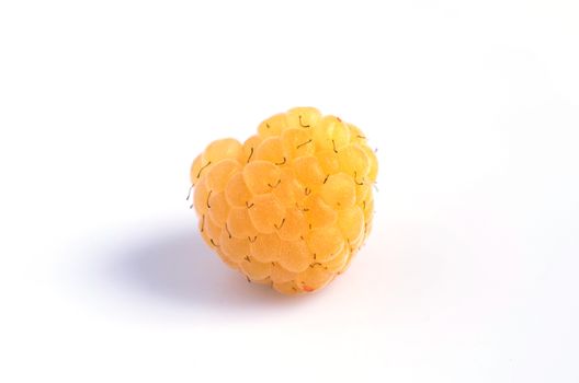 A beautiful selection of freshly picked ripe yellow raspberries