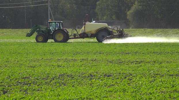 Tractor spray rape seed field with pesticide chemicals in autumn. Farmer with modern vehicle kill pests in agriculture field before winter.
