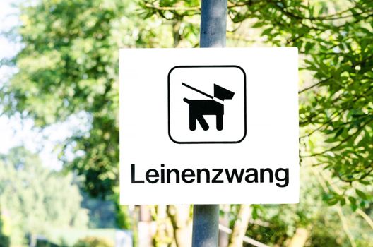 Bid sign dog on leash sign inscription leash.