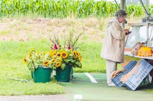 Senior woman is paying the shopping at a market stall.