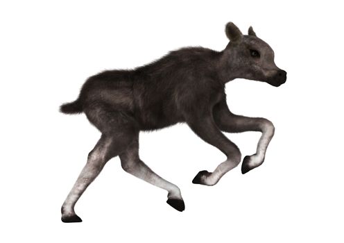 3D digital render of a caribou calf isolated on white background