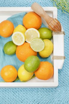 Various types of citrus fruit and wooden citrus squeezer on white vintage tray, blue background. Macro, selective focus