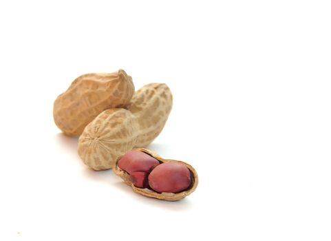 peanuts isolated on white background for stock