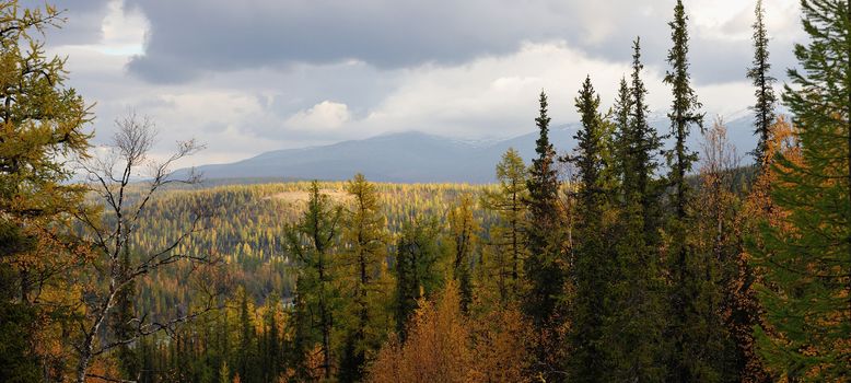 Landscape of sub-polar ural mountains