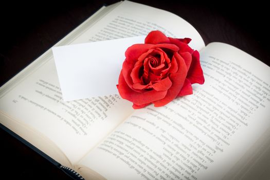 red rose on open book with blank gift card for text on black background