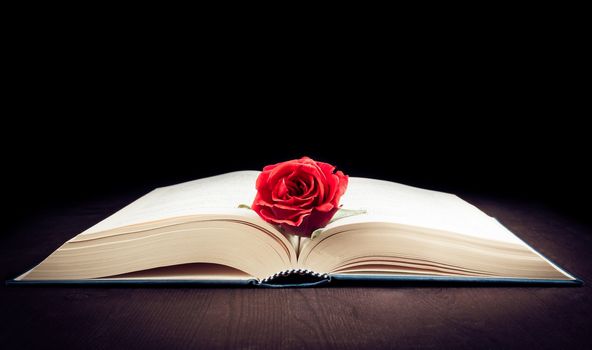 red rose on the open book on old wood and black background with space for text