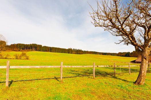 Green Pastures around the Farmhouse in Switzerland