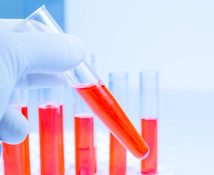 hand in glove is holding test tube with red liquid in laboratory on white background