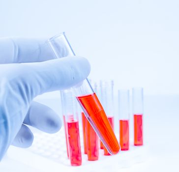 hand in medical blue glove is holding test tube with red liquid in laboratory on blue light tint background