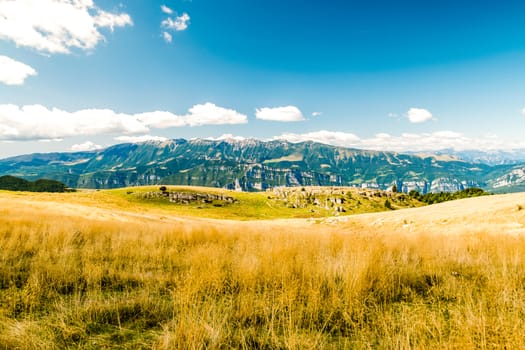 View of meadows in the mountains that create sinuous lines.