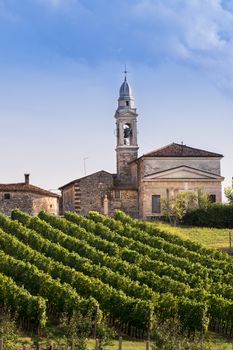 View of Soave (Italy) surrounded by vineyards that produce one of the most appreciated Italian white wines.