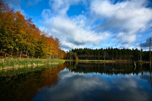 Lake in Denmark in the summer