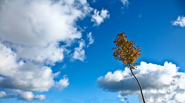 Nice blue sky with clouds formation in Denmark