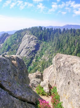 views of the Rocky Mountains from Moro rock