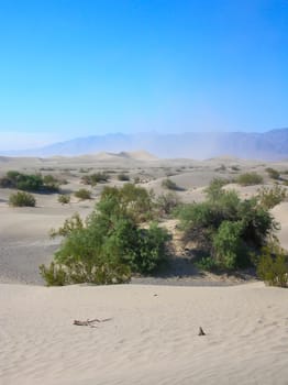 Sand Dunes in Death Valley