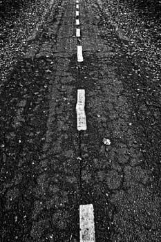 Road in a forest in denmark