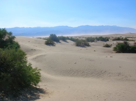 Sand Dunes in Death Valley