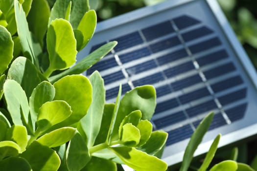 PV celles details, close up picture. Photovoltaics PV is the field of technology and research related to the application of solar cells for energy by converting sunlight directly into electricity.