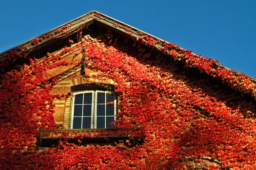Old red brick house in denmark