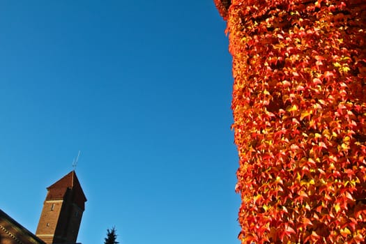 Old red brick house in denmark with red leaves