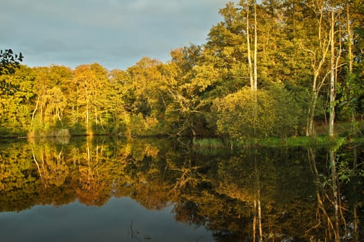 lake in a forest in denmark in fall