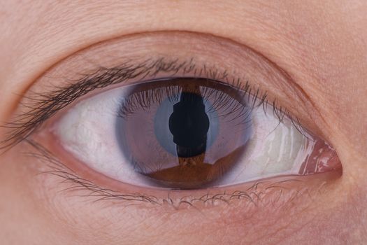 A true 1:1 macro shot of a woman's brown eye.