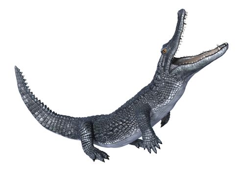 3D digital render of an alligator caiman isolated on white background