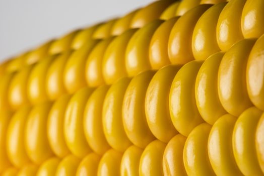 Abstract detail of corn on the cob
