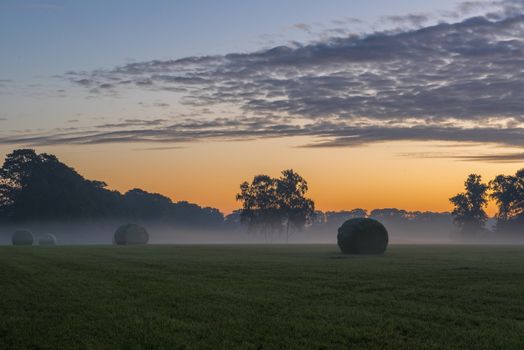 Agriculture packed roles grass in the early morning on a meadow in the Netherlands

