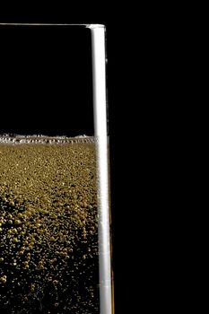 detail of  a flute of champagne with golden bubbles on black background and space for text