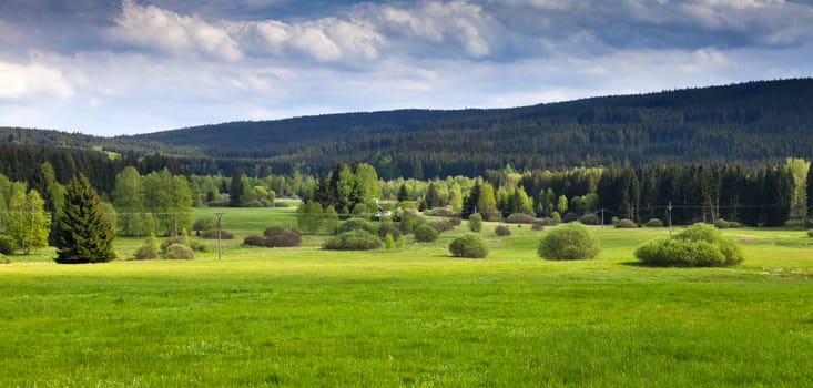 Summer mountains green grass and blue sky