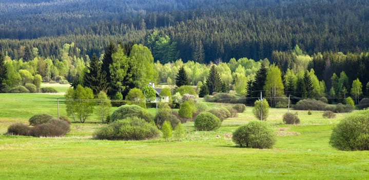 Summer mountains green grass and blue mist