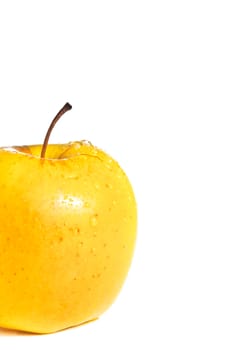 wet yellow delicious half apple with space for text on white background