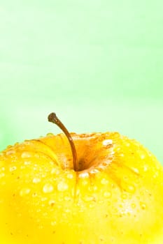 wet yellow apple with space for text on green background
