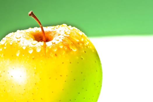 wet yellow apple with space for text on multicolor background