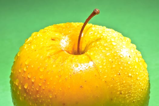 wet yellow delicious apple on green background