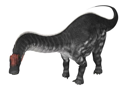 3D digital render of a dinosaur Apatosaurus isolated on white background