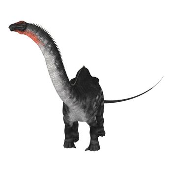 3D digital render of a dinosaur Apatosaurus isolated on white background