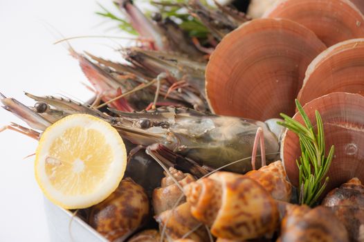 Fresh seafood set from gulf of Thailand in steel tray on white table