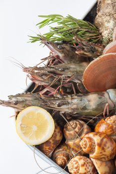 Fresh seafood set from gulf of Thailand in steel tray on white table