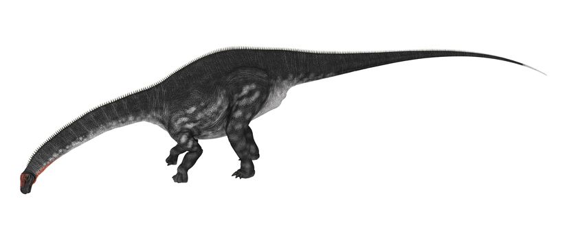 3D digital render of a dinosaur Apatosaurus isolated on white background