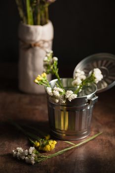 Statice Flower - Limonium with low key scene