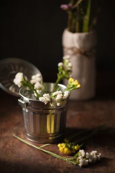 Statice Flower - Limonium with low key scene