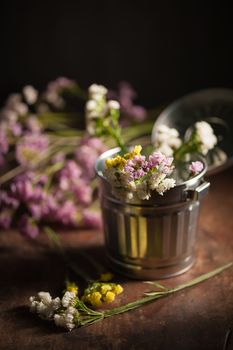 Statice Flower - Limonium with low key scene