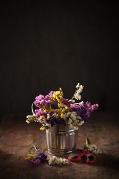 Statice Flower - Limonium with low key scene