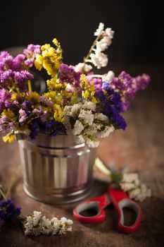 Statice Flower - Limonium with low key scene
