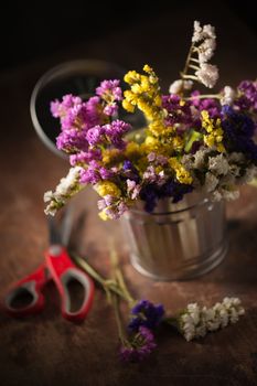 Statice Flower - Limonium with low key scene